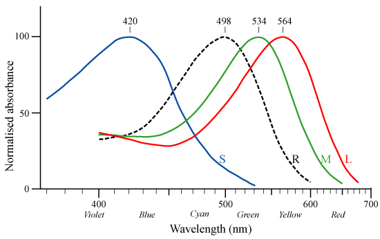 Image:Cone-response.png